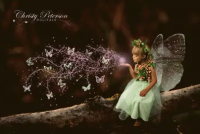 fantasia jigsaw puzzle