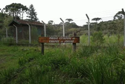 Parque Estadual - Campos do JordÃ£o - SP