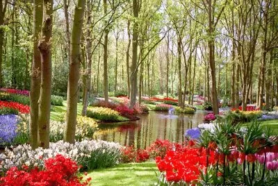 פאזל של JARDIM