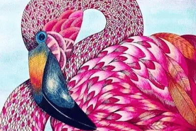Flamingo