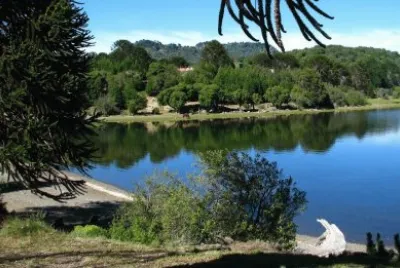 פאזל של La Angostura. NeuquÃ©n. Argentina