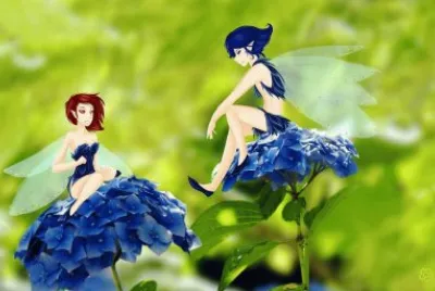 hadas jigsaw puzzle