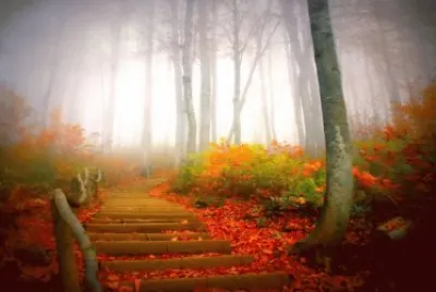 natureza