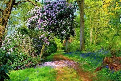 natureza
