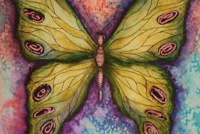 Beautiful Butterfly