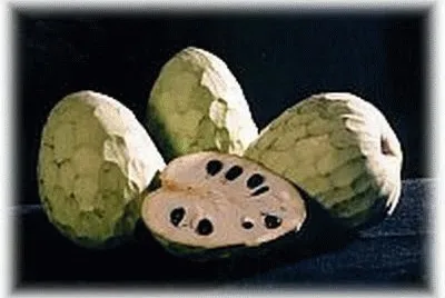 פאזל של Chirimoyas