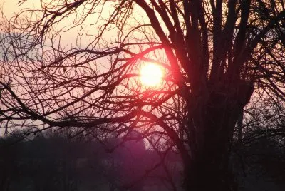soleil le soir