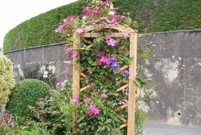 dÃ©co florale