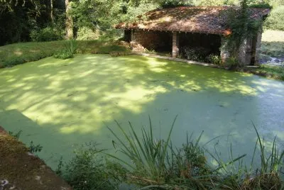 Lavoir