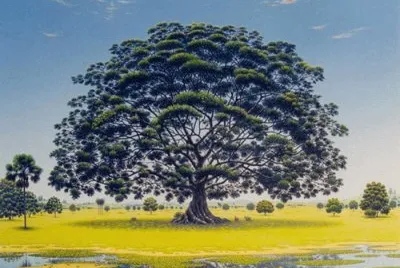 Natureza jigsaw puzzle