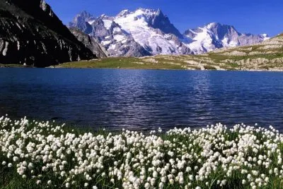 Natureza