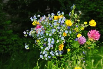 Blumen 23