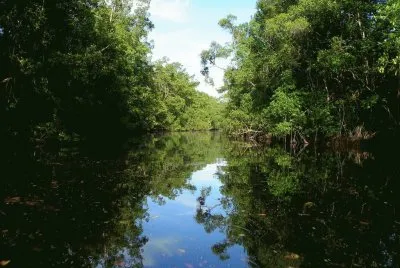 Delta del Orinoco. Venezuela