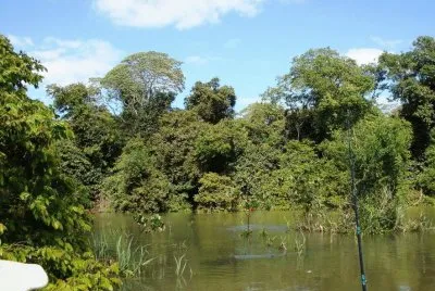 En la Provincia de Corrientes. Argentina