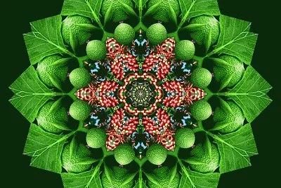mandala jigsaw puzzle