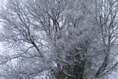 פאזל של neige 1
