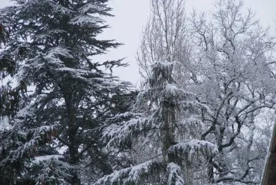 פאזל של neige 3