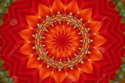 mandalas jigsaw puzzle