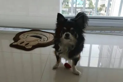 Nick na sacada de seu Apartamento