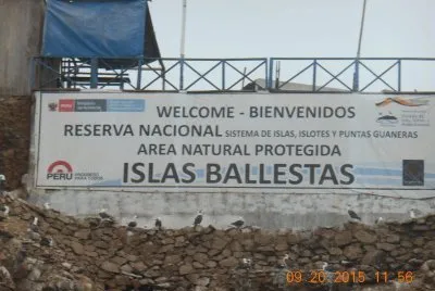Ilhas Ballestas - Peru