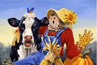 r64rdc rertdxgc b jigsaw puzzle