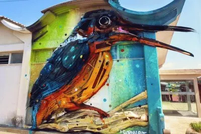 PAJARO