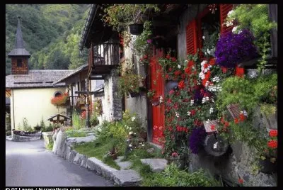 maison