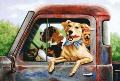 cÃ£o jigsaw puzzle