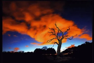 paisaje