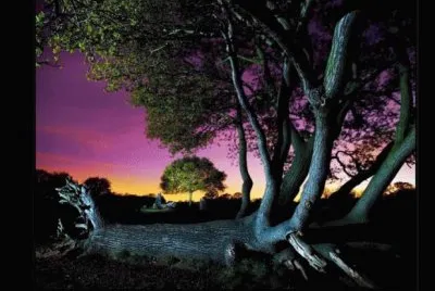 paisaje