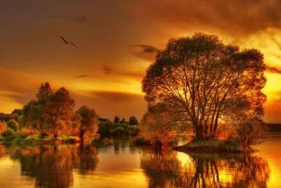 otoÃ±o