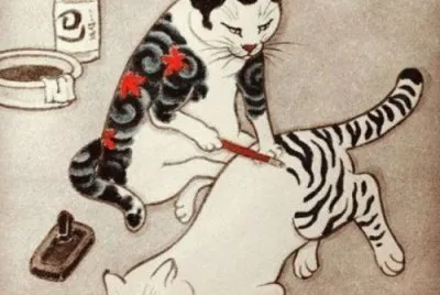Gatos