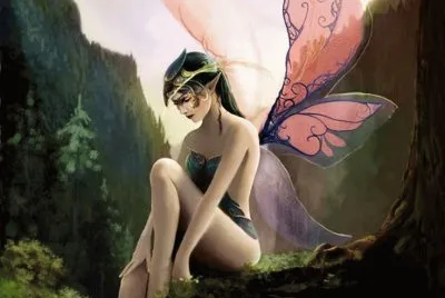 hadas jigsaw puzzle