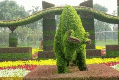 animais  de  flores