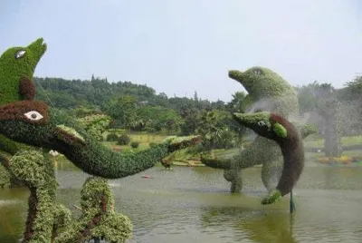 animais  de  flores