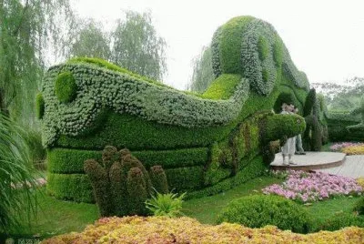 animais  de  flores