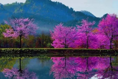 paisagens