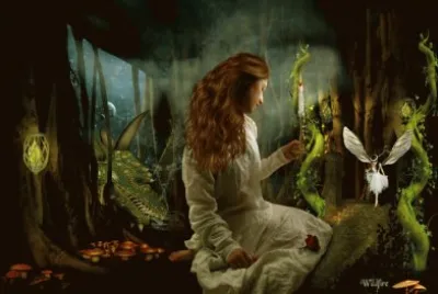 fantasia jigsaw puzzle