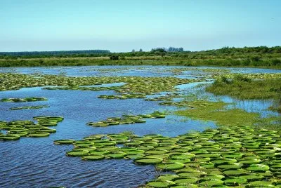 IrupÃ©s en la Provincia de Entre RÃ­os. Argentina