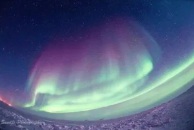 boreal