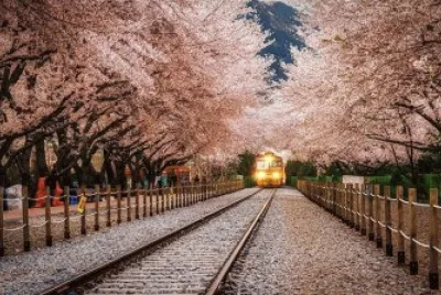 tunel rosa