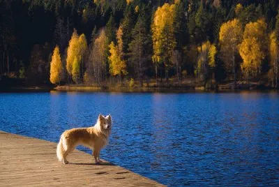 Natureza