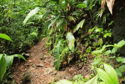 Cerca de Pont CassÃ©. Isla Dominica