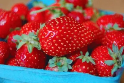 Strawberries