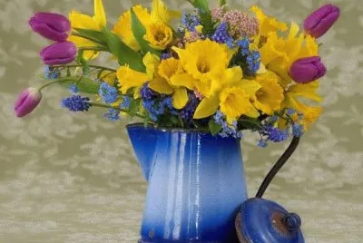 flores