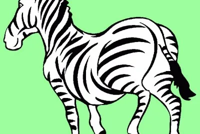 פאזל של zebra