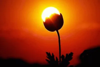 entardecer