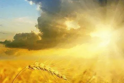 entardecer