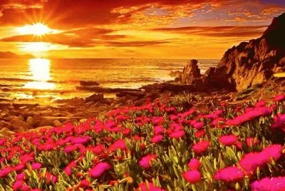 entardecer