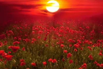 entardecer